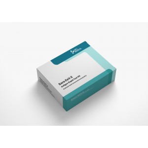 SARS-CoV-2 Antigen Rapid Test Kit CH